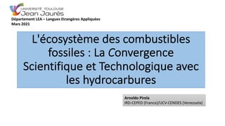 L'écosystème des combustibles
fossiles : La Convergence
Scientifique et Technologique avec
les hydrocarbures
Département LEA – Langues Etrangères Appliquées
Mars 2021
Arnoldo Pirela
IRD-CEPED (France)/UCV-CENDES (Venezuela)
 