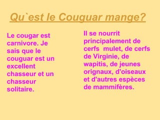 Qu`est le Couguar mange?
Le cougar est    Il se nourrit
carnivore. Je    principalement de
sais que le      cerfs mulet, de cerfs
couguar est un   de Virginie, de
excellent        wapitis, de jeunes
chasseur et un   orignaux, d'oiseaux
chasseur         et d'autres espèces
solitaire.       de mammifères.
 