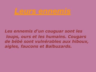 Leurs ennemis

Les ennemis d'un couguar sont les
 loups, ours et les humains. Cougars
de bébé sont vulnérables aux hiboux,
aigles, faucons et Balbuzards.
 