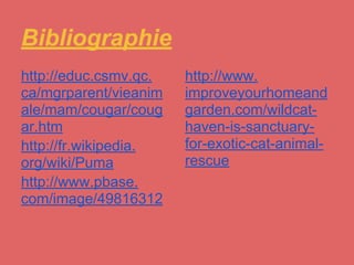 Bibliographie
http://educ.csmv.qc.   http://www.
ca/mgrparent/vieanim   improveyourhomeand
ale/mam/cougar/coug    garden.com/wildcat-
ar.htm                 haven-is-sanctuary-
http://fr.wikipedia.   for-exotic-cat-animal-
org/wiki/Puma          rescue
http://www.pbase.
com/image/49816312
 