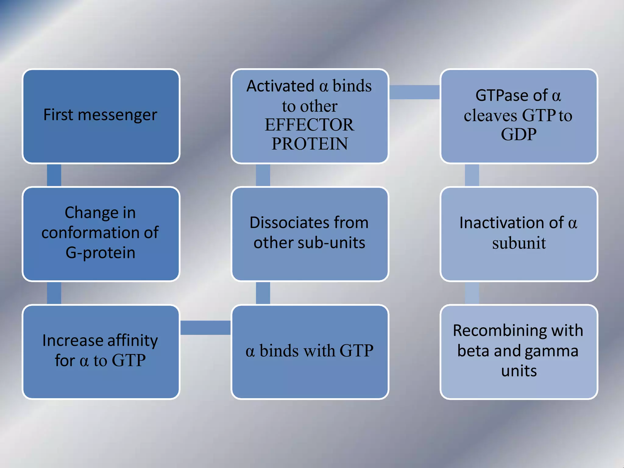 First messenger
Change in
conformation of
G-protein
Increase affinity
for α to GTP
α binds with GTP
Dissociates from
other sub-units
Activated α binds
to other
EFFECTOR
PROTEIN
GTPase of α
cleaves GTPto
GDP
Inactivation of α
subunit
Recombining with
beta and gamma
units
 