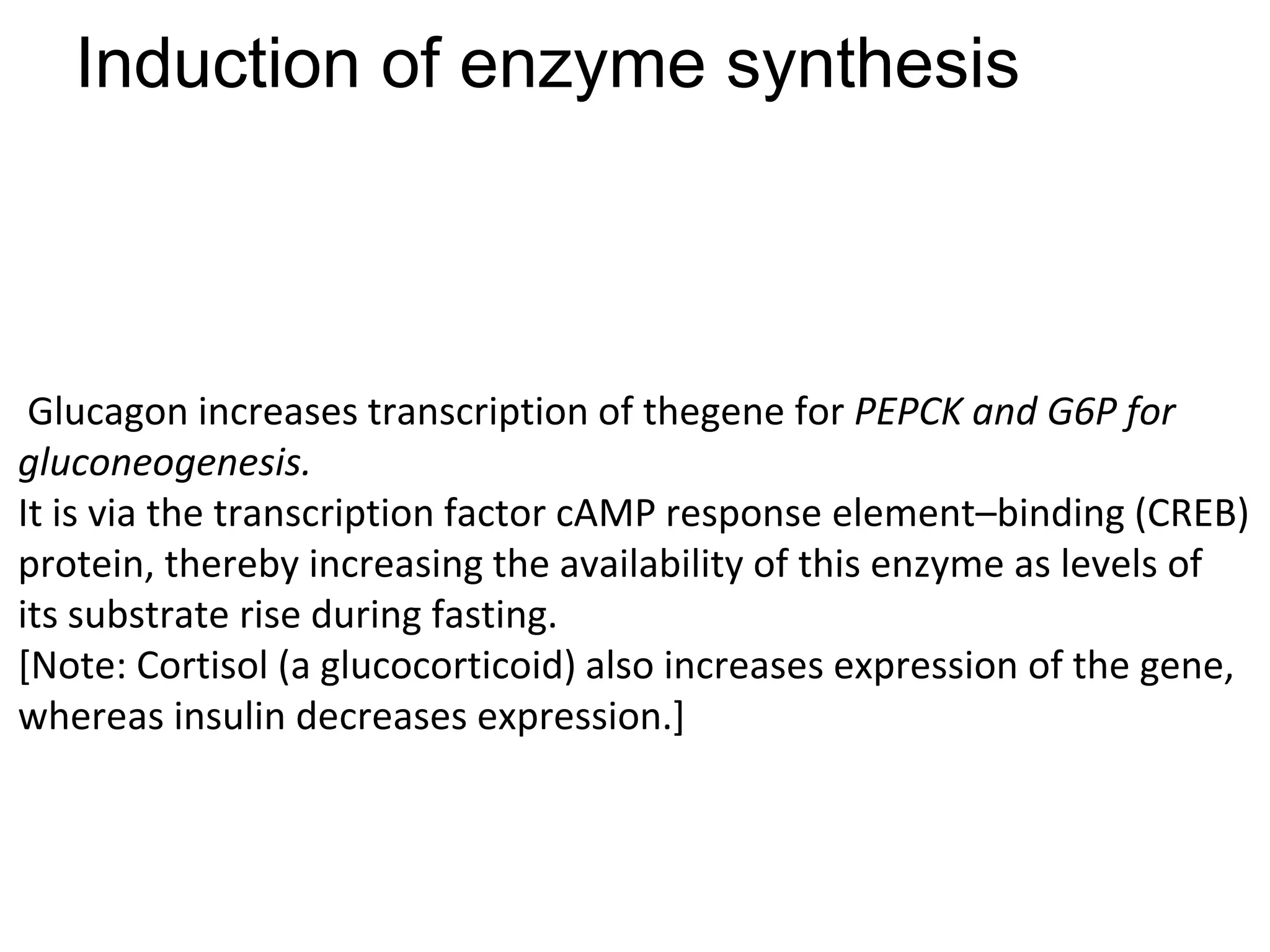 Induction of enzyme synthesis
Glucagon increases transcription of thegene for PEPCK and G6P for
gluconeogenesis.
It is via the transcription factor cAMP response element–binding (CREB)
protein, thereby increasing the availability of this enzyme as levels of
its substrate rise during fasting.
[Note: Cortisol (a glucocorticoid) also increases expression of the gene,
whereas insulin decreases expression.]
 