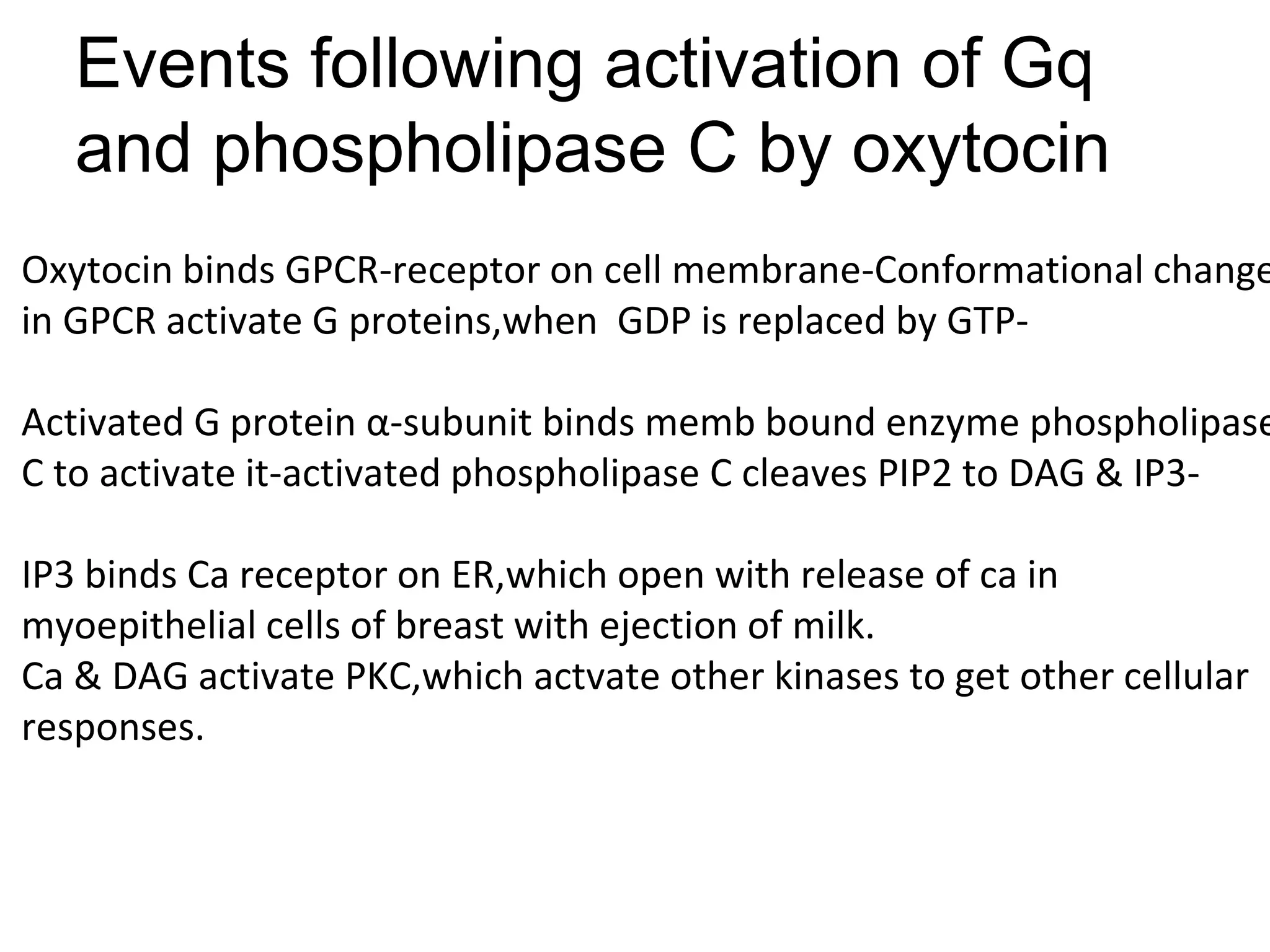 Events following activation of Gq
and phospholipase C by oxytocin
Oxytocin binds GPCR-receptor on cell membrane-Conformational change
in GPCR activate G proteins,when GDP is replaced by GTP-
Activated G protein α-subunit binds memb bound enzyme phospholipase
C to activate it-activated phospholipase C cleaves PIP2 to DAG & IP3-
IP3 binds Ca receptor on ER,which open with release of ca in
myoepithelial cells of breast with ejection of milk.
Ca & DAG activate PKC,which actvate other kinases to get other cellular
responses.
 