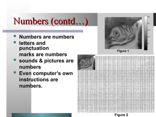Number Sound Method Lect-03 (1).ppt.so this ppt for me so it | PPT