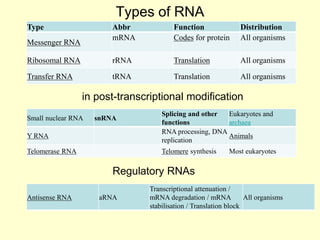 Types of RNA
Type Abbr Function Distribution
Messenger RNA
mRNA Codes for protein All organisms
Ribosomal RNA rRNA Translation All organisms
Transfer RNA tRNA Translation All organisms
in post-transcriptional modification
Small nuclear RNA snRNA
Splicing and other
functions
Eukaryotes and
archaea
Y RNA
RNA processing, DNA
replication
Animals
Telomerase RNA Telomere synthesis Most eukaryotes
Antisense RNA aRNA
Transcriptional attenuation /
mRNA degradation / mRNA
stabilisation / Translation block
All organisms
Regulatory RNAs
 