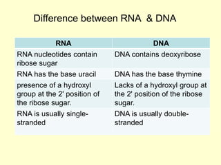 RNA DNA
RNA nucleotides contain
ribose sugar
DNA contains deoxyribose
RNA has the base uracil DNA has the base thymine
presence of a hydroxyl
group at the 2' position of
the ribose sugar.
Lacks of a hydroxyl group at
the 2' position of the ribose
sugar.
RNA is usually single-
stranded
DNA is usually double-
stranded
Difference between RNA & DNA
 