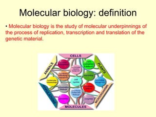 Molecular biology: definition
• Molecular biology is the study of molecular underpinnings of
the process of replication, transcription and translation of the
genetic material.
 