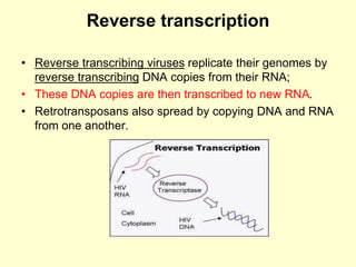Reverse transcription
• Reverse transcribing viruses replicate their genomes by
reverse transcribing DNA copies from their RNA;
• These DNA copies are then transcribed to new RNA.
• Retrotransposans also spread by copying DNA and RNA
from one another.
 