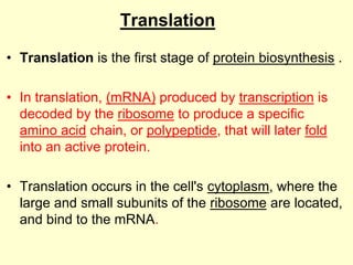 Translation
• Translation is the first stage of protein biosynthesis .
• In translation, (mRNA) produced by transcription is
decoded by the ribosome to produce a specific
amino acid chain, or polypeptide, that will later fold
into an active protein.
• Translation occurs in the cell's cytoplasm, where the
large and small subunits of the ribosome are located,
and bind to the mRNA.
 