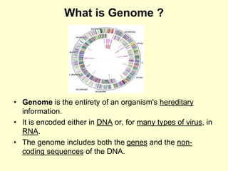 What is Genome ?
• Genome is the entirety of an organism's hereditary
information.
• It is encoded either in DNA or, for many types of virus, in
RNA.
• The genome includes both the genes and the non-
coding sequences of the DNA.
 