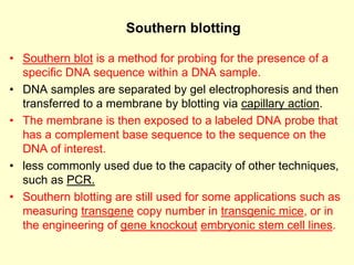 Southern blotting
• Southern blot is a method for probing for the presence of a
specific DNA sequence within a DNA sample.
• DNA samples are separated by gel electrophoresis and then
transferred to a membrane by blotting via capillary action.
• The membrane is then exposed to a labeled DNA probe that
has a complement base sequence to the sequence on the
DNA of interest.
• less commonly used due to the capacity of other techniques,
such as PCR.
• Southern blotting are still used for some applications such as
measuring transgene copy number in transgenic mice, or in
the engineering of gene knockout embryonic stem cell lines.
 
