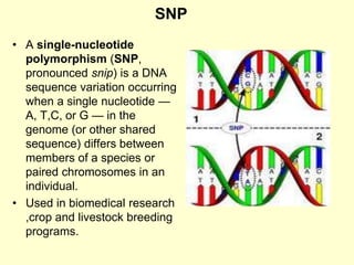 SNP
• A single-nucleotide
polymorphism (SNP,
pronounced snip) is a DNA
sequence variation occurring
when a single nucleotide —
A, T,C, or G — in the
genome (or other shared
sequence) differs between
members of a species or
paired chromosomes in an
individual.
• Used in biomedical research
,crop and livestock breeding
programs.
 