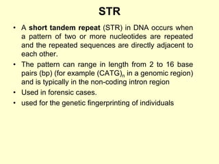 STR
• A short tandem repeat (STR) in DNA occurs when
a pattern of two or more nucleotides are repeated
and the repeated sequences are directly adjacent to
each other.
• The pattern can range in length from 2 to 16 base
pairs (bp) (for example (CATG)n in a genomic region)
and is typically in the non-coding intron region
• Used in forensic cases.
• used for the genetic fingerprinting of individuals
 