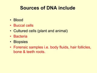 Sources of DNA include
• Blood
• Buccal cells
• Cultured cells (plant and animal)
• Bacteria
• Biopsies
• Forensic samples i.e. body fluids, hair follicles,
bone & teeth roots.
 