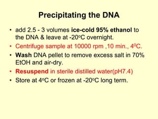 Precipitating the DNA
• add 2.5 - 3 volumes ice-cold 95% ethanol to
the DNA & leave at -20oC overnight.
• Centrifuge sample at 10000 rpm ,10 min., 40C.
• Wash DNA pellet to remove excess salt in 70%
EtOH and air-dry.
• Resuspend in sterile distilled water(pH7.4)
• Store at 4oC or frozen at -20oC long term.
 