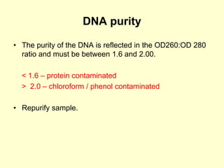 DNA purity
• The purity of the DNA is reflected in the OD260:OD 280
ratio and must be between 1.6 and 2.00.
< 1.6 – protein contaminated
> 2.0 – chloroform / phenol contaminated
• Repurify sample.
 