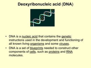 Deoxyribonucleic acid (DNA)
• DNA is a nucleic acid that contains the genetic
instructions used in the development and functioning of
all known living organisms and some viruses.
• DNA is a set of blueprints needed to construct other
components of cells, such as proteins and RNA
molecules.
 