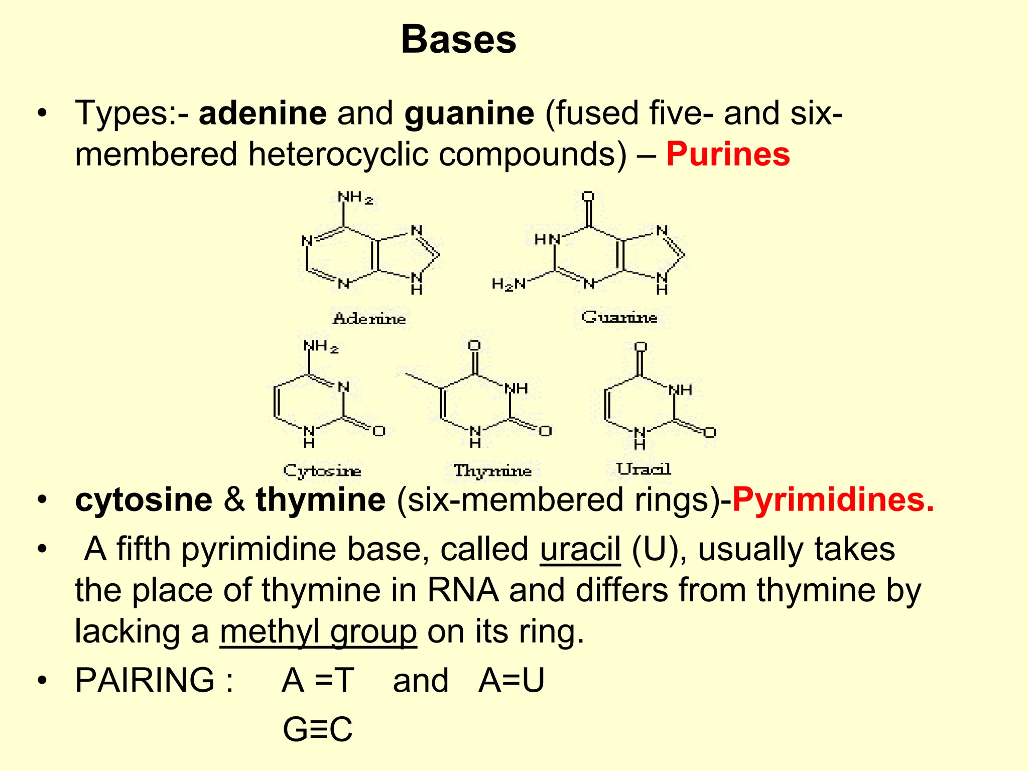 • Types:- adenine and guanine (fused five- and six-
membered heterocyclic compounds) – Purines
• cytosine & thymine (six-membered rings)-Pyrimidines.
• A fifth pyrimidine base, called uracil (U), usually takes
the place of thymine in RNA and differs from thymine by
lacking a methyl group on its ring.
• PAIRING : A =T and A=U
G≡C
Bases
 
