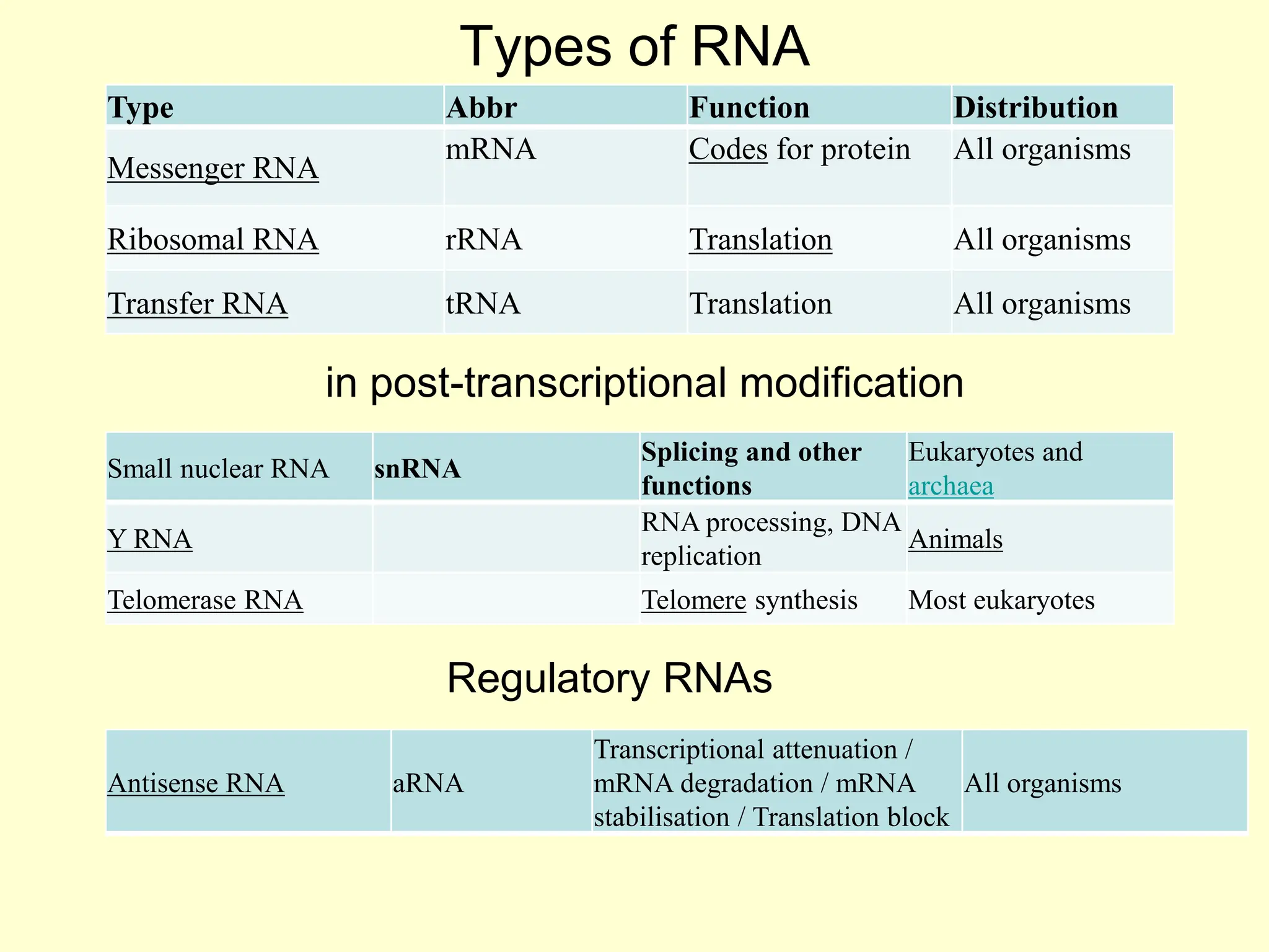 Types of RNA
Type Abbr Function Distribution
Messenger RNA
mRNA Codes for protein All organisms
Ribosomal RNA rRNA Translation All organisms
Transfer RNA tRNA Translation All organisms
in post-transcriptional modification
Small nuclear RNA snRNA
Splicing and other
functions
Eukaryotes and
archaea
Y RNA
RNA processing, DNA
replication
Animals
Telomerase RNA Telomere synthesis Most eukaryotes
Antisense RNA aRNA
Transcriptional attenuation /
mRNA degradation / mRNA
stabilisation / Translation block
All organisms
Regulatory RNAs
 