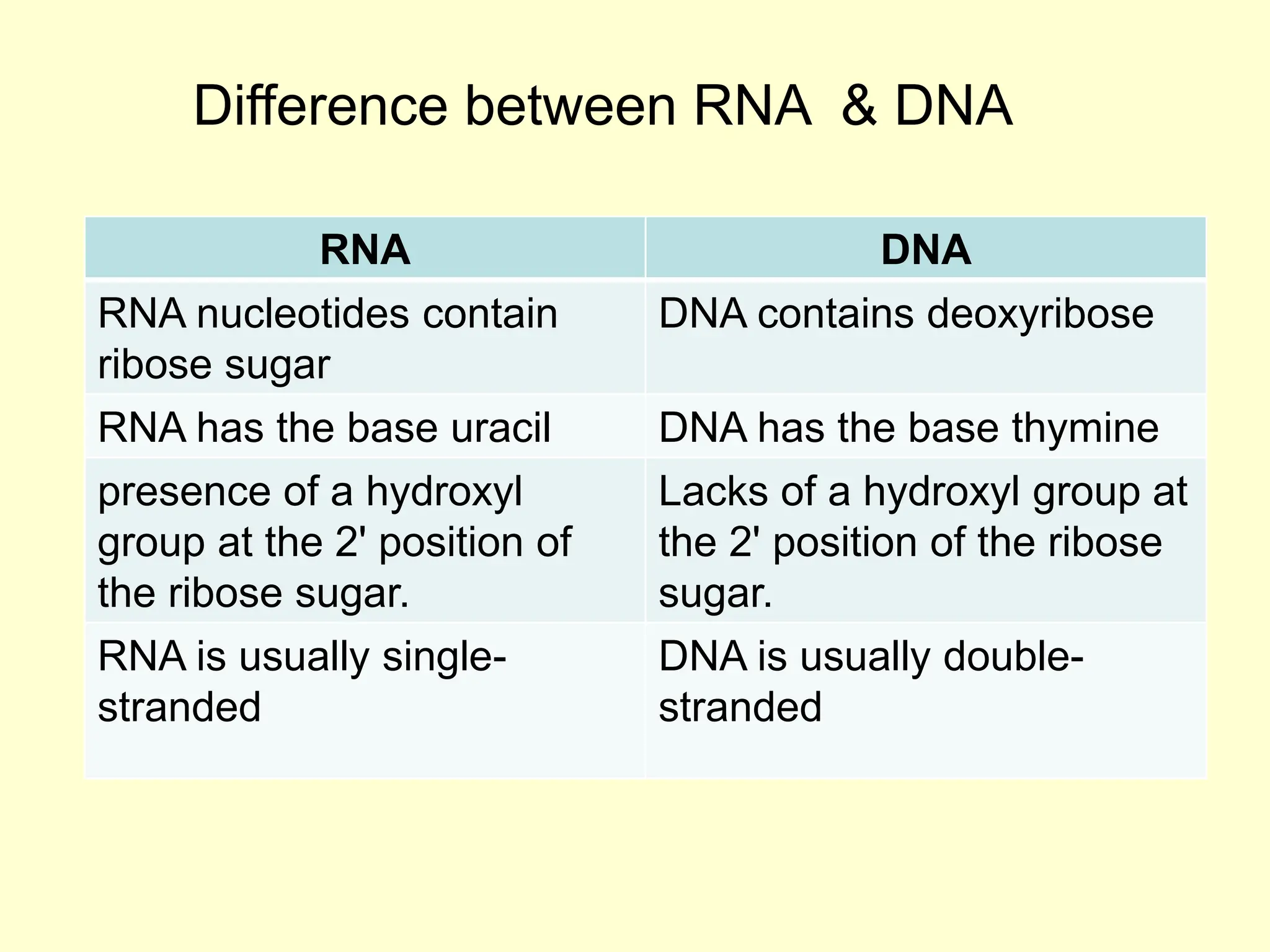 RNA DNA
RNA nucleotides contain
ribose sugar
DNA contains deoxyribose
RNA has the base uracil DNA has the base thymine
presence of a hydroxyl
group at the 2' position of
the ribose sugar.
Lacks of a hydroxyl group at
the 2' position of the ribose
sugar.
RNA is usually single-
stranded
DNA is usually double-
stranded
Difference between RNA & DNA
 