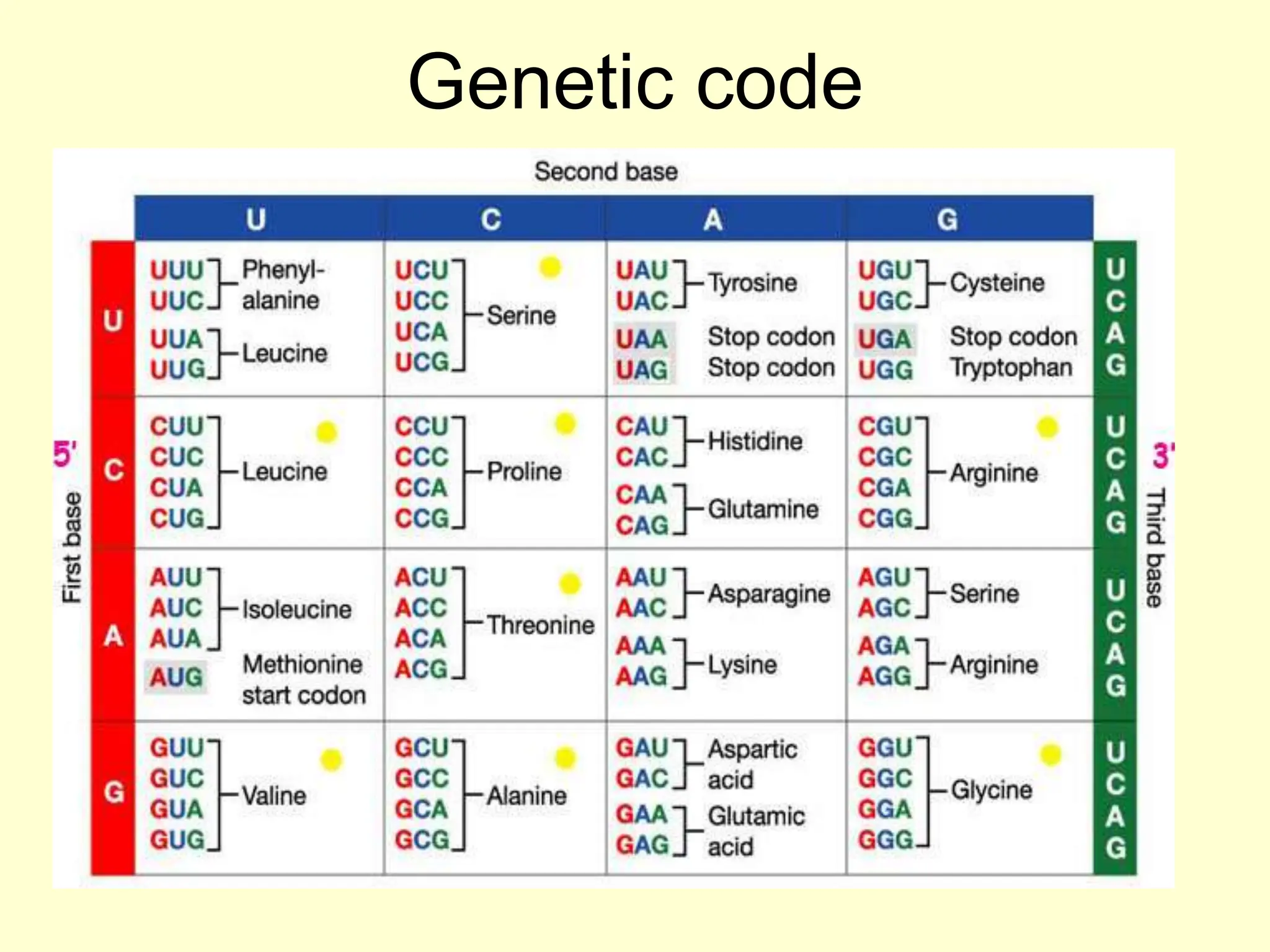 Genetic code
 