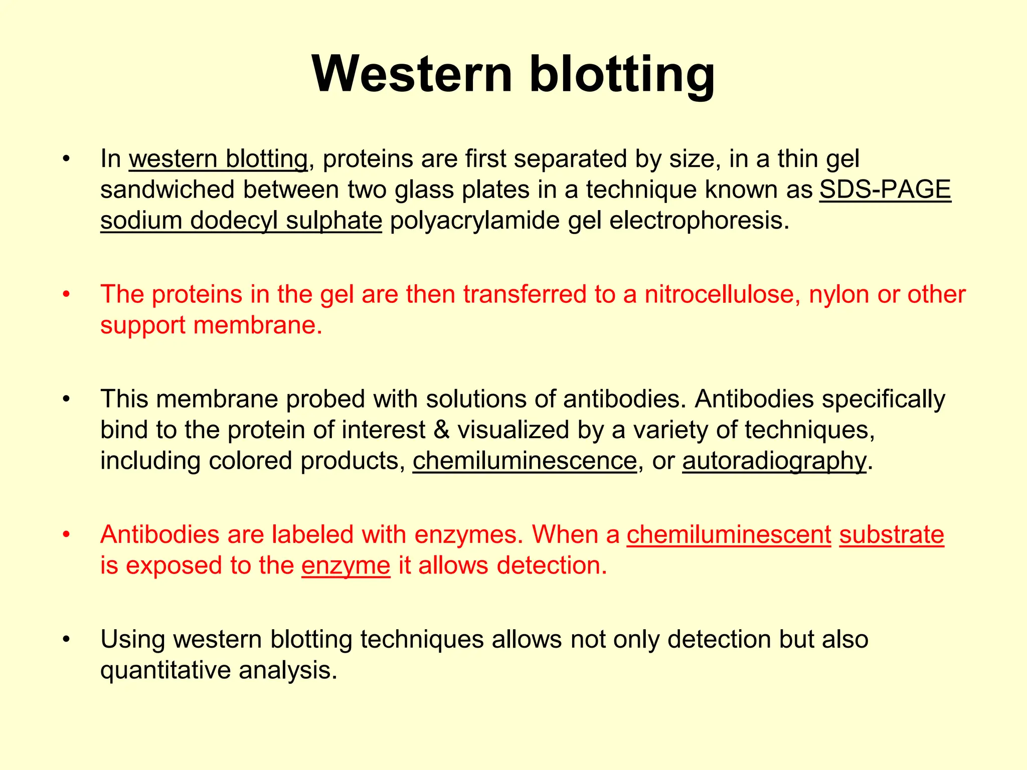 Western blotting
• In western blotting, proteins are first separated by size, in a thin gel
sandwiched between two glass plates in a technique known as SDS-PAGE
sodium dodecyl sulphate polyacrylamide gel electrophoresis.
• The proteins in the gel are then transferred to a nitrocellulose, nylon or other
support membrane.
• This membrane probed with solutions of antibodies. Antibodies specifically
bind to the protein of interest & visualized by a variety of techniques,
including colored products, chemiluminescence, or autoradiography.
• Antibodies are labeled with enzymes. When a chemiluminescent substrate
is exposed to the enzyme it allows detection.
• Using western blotting techniques allows not only detection but also
quantitative analysis.
 