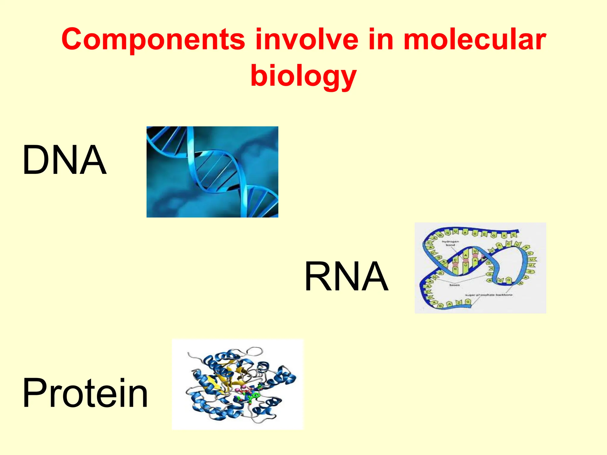 Components involve in molecular
biology
DNA
RNA
Protein
 
