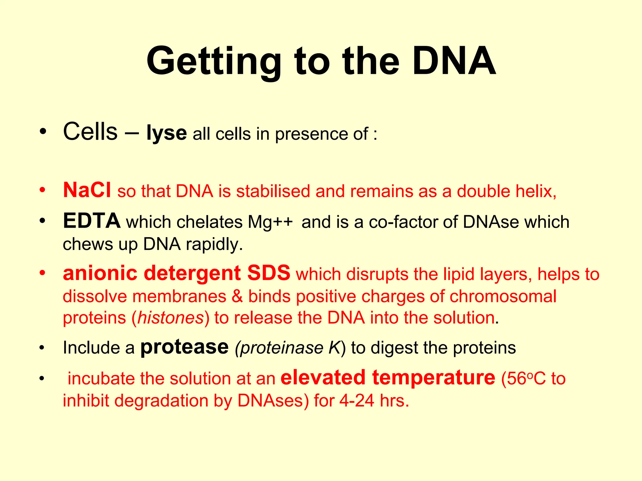 Getting to the DNA
• Cells – lyse all cells in presence of :
• NaCl so that DNA is stabilised and remains as a double helix,
• EDTA which chelates Mg++ and is a co-factor of DNAse which
chews up DNA rapidly.
• anionic detergent SDS which disrupts the lipid layers, helps to
dissolve membranes & binds positive charges of chromosomal
proteins (histones) to release the DNA into the solution.
• Include a protease (proteinase K) to digest the proteins
• incubate the solution at an elevated temperature (56oC to
inhibit degradation by DNAses) for 4-24 hrs.
 