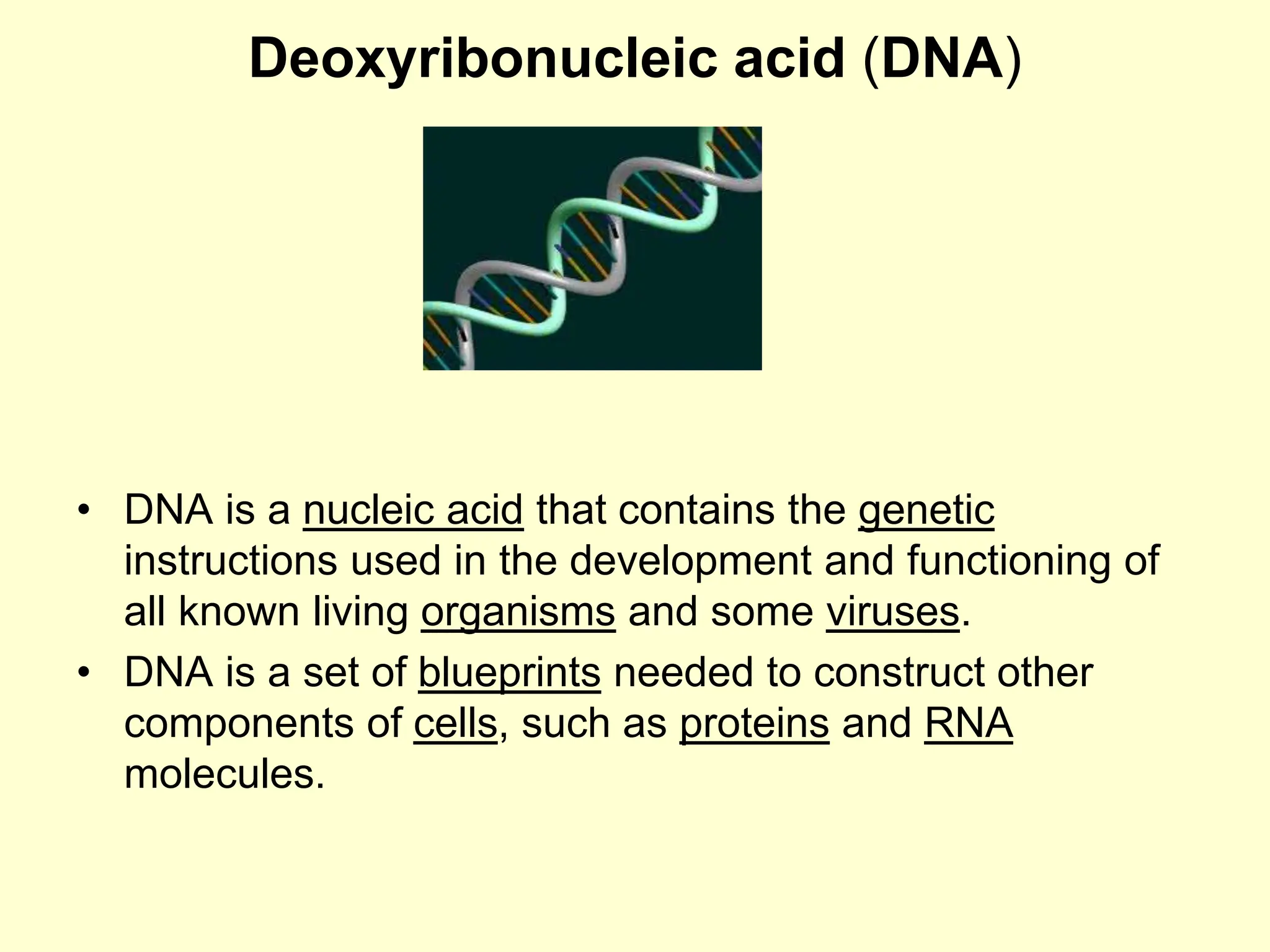 Deoxyribonucleic acid (DNA)
• DNA is a nucleic acid that contains the genetic
instructions used in the development and functioning of
all known living organisms and some viruses.
• DNA is a set of blueprints needed to construct other
components of cells, such as proteins and RNA
molecules.
 