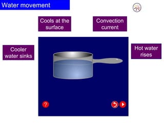 Water movement
Hot water
rises
Cooler
water sinks
Convection
current
Cools at the
surface
 