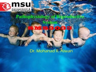 Dr. Mohanad R. Alwan Pathophysiology of Reproductive System SMS3033 