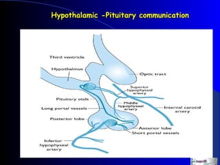 Hypothalamic -Pituitary communication
 