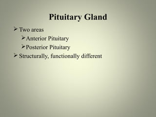Pituitary Gland
 Two areas
   Anterior Pituitary
   Posterior Pituitary
 Structurally, functionally different
 