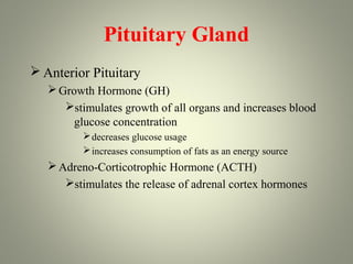 Pituitary Gland
 Anterior Pituitary
    Growth Hormone (GH)
      stimulates growth of all organs and increases blood
        glucose concentration
           decreases glucose usage
           increases consumption of fats as an energy source
    Adreno-Corticotrophic Hormone (ACTH)
      stimulates the release of adrenal cortex hormones
 