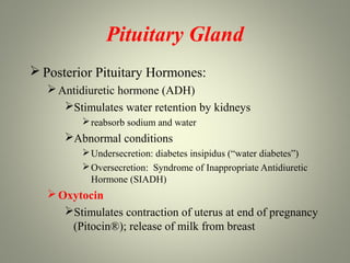 Pituitary Gland
 Posterior Pituitary Hormones:
    Antidiuretic hormone (ADH)
      Stimulates water retention by kidneys
           reabsorb sodium and water
      Abnormal conditions
           Undersecretion: diabetes insipidus (“water diabetes”)
           Oversecretion: Syndrome of Inappropriate Antidiuretic
            Hormone (SIADH)
    Oxytocin
      Stimulates contraction of uterus at end of pregnancy
       (Pitocin®); release of milk from breast
 