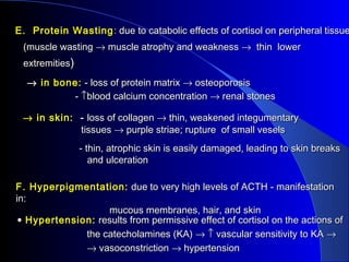 E. Protein Wasting : due to catabolic effects of cortisol on peripheral tissue
 (muscle wasting → muscle atrophy and weakness → thin lower
 extremities)

  → in bone: - loss of protein matrix → osteoporosis
          - ↑blood calcium concentration → renal stones

 → in skin: - loss of collagen → thin, weakened integumentary
            tissues → purple striae; rupture of small vesels
                - thin, atrophic skin is easily damaged, leading to skin breaks
                   and ulceration

F. Hyperpigmentation: due to very high levels of ACTH - manifestation
in:
                   mucous membranes, hair, and skin
 • Hypertension: results from permissive effect of cortisol on the actions of
              the catecholamines (KA) → ↑ vascular sensitivity to KA →
              → vasoconstriction → hypertension
 