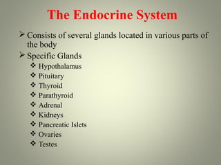 The Endocrine System
 Consists of several glands located in various parts of
  the body
 Specific Glands
    Hypothalamus
    Pituitary
    Thyroid
    Parathyroid
    Adrenal
    Kidneys
    Pancreatic Islets
    Ovaries
    Testes
 