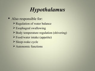 Hypothalamus
 Also responsible for:
    Regulation of water balance
    Esophageal swallowing
    Body temperature regulation (shivering)
    Food/water intake (appetite)
    Sleep-wake cycle
    Autonomic functions
 