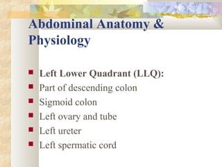 Left Submentrum abdominal assessment | PPT