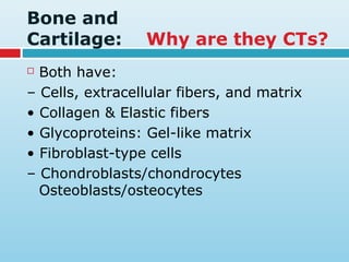 Bone and
Cartilage: Why are they CTs?
 Both have:
– Cells, extracellular fibers, and matrix
• Collagen & Elastic fibers
• Glycoproteins: Gel-like matrix
• Fibroblast-type cells
– Chondroblasts/chondrocytes
Osteoblasts/osteocytes
 