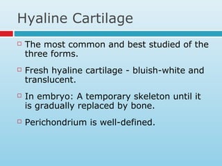 Hyaline Cartilage
 The most common and best studied of the
three forms.
 Fresh hyaline cartilage - bluish-white and
translucent.
 In embryo: A temporary skeleton until it
is gradually replaced by bone.
 Perichondrium is well-defined.
 