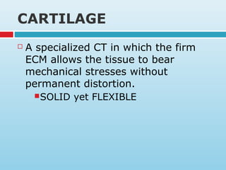 CARTILAGE
 A specialized CT in which the firm
ECM allows the tissue to bear
mechanical stresses without
permanent distortion.
SOLID yet FLEXIBLE
 