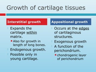 Growth of cartilage tissues
 Expands the
cartilage within
matrix.
 Also for growth in
length of long bones.
 Endogenous growth.
 Possible only in
young cartilage.
 Occurs at the edges
of cartilaginous
structures.
 Exogenous growth
 A function of the
perichondrium.
 chondrogenic layer
of perichondrium
Interstitial growth Appositional growth
 