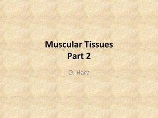Muscular Tissues
Part 2
O. Hara
 