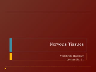 Nervous Tissues
Vertebrate Histology
Lecture No. 11
 