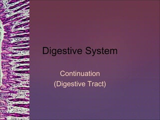 Digestive System
Continuation
(Digestive Tract)
 