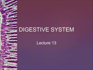 DIGESTIVE SYSTEM
Lecture 13
 
