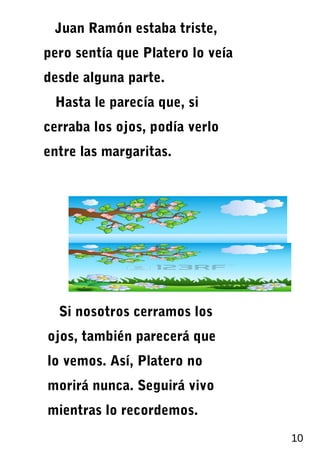 Juan Ramón estaba triste,
pero sentía que Platero lo veía
desde alguna parte.
Hasta le parecía que, si
cerraba los ojos, podía verlo
entre las margaritas.
Si nosotros cerramos los
ojos, también parecerá que
lo vemos. Así, Platero no
morirá nunca. Seguirá vivo
mientras lo recordemos.
10
 