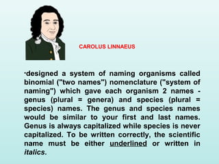 •designed a system of naming organisms called
binomial ("two names") nomenclature ("system of
naming") which gave each organism 2 names -
genus (plural = genera) and species (plural =
species) names. The genus and species names
would be similar to your first and last names.
Genus is always capitalized while species is never
capitalized. To be written correctly, the scientific
name must be either underlined or written in
italics.
CAROLUS LINNAEUS
 
