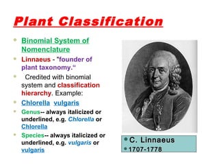 Plant Classification
 Binomial System of
Nomenclature
 Linnaeus - "founder of
plant taxonomy.“
 Credited with binomial
system and classification
hierarchy. Example:
 Chlorella vulgaris
 Genus-- always italicized or
underlined, e.g. Chlorella or
Chlorella
 Species-- always italicized or
underlined, e.g. vulgaris or
vulgaris
C. LinnaeusC. Linnaeus
1707-17781707-1778
 